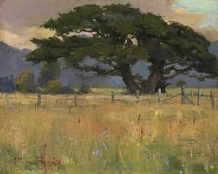 Un pré sous les montagnes, 1897