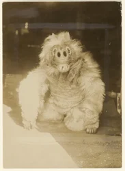 Dans le masque de loup