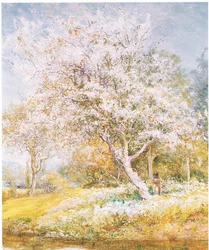 Cueillette de fleurs