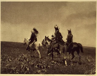 Un raid réussi pour les chevaux