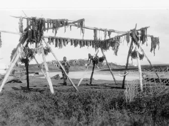 Un homme esquimau sous une structure avec de la viande de baleine suspendue pour sécher, vers 1929