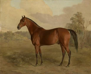 Pic du Kentucky