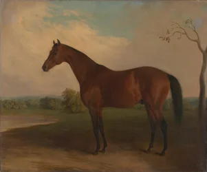 Souverain