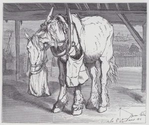 Un cheval de trait
