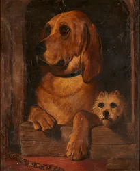 Dignité et impudence