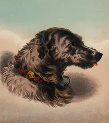 Le chien de chasse (?)