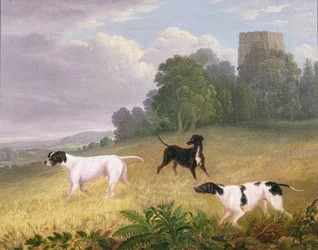 Pointeurs dans un paysage