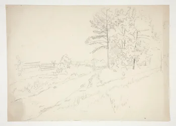 Paysage avec route traversante