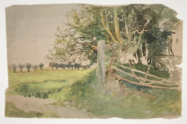 Paysage avec arbres et clôture brisée