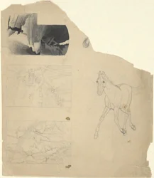 Feuille d