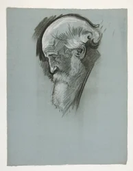Étude de la tête d