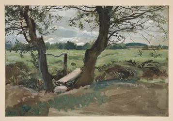 Étude de deux arbres et un champ