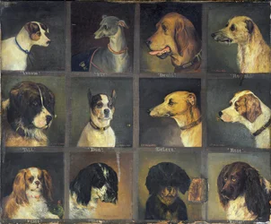 Douze Chiens Préférés, 1883