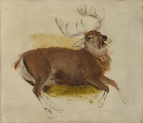 Cerf mourant, vers 1830