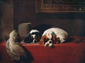 Épagneuls King Charles, les animaux de compagnie des cavaliers, 1845, vers 1915