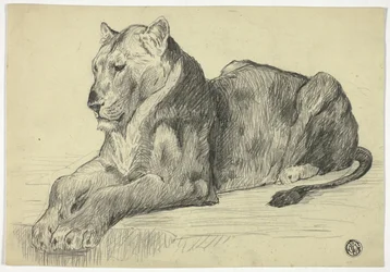 Lionne