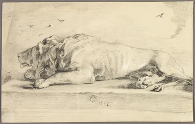 Lion couché