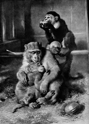 Le Singe malade, 1875, 1912
