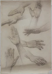 Études de mains