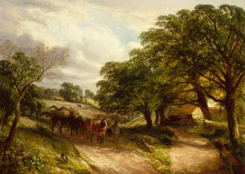 Transport de Bois