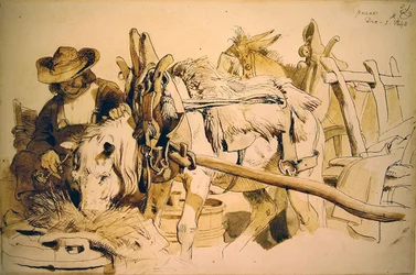 Un poney et une charrette à Genève