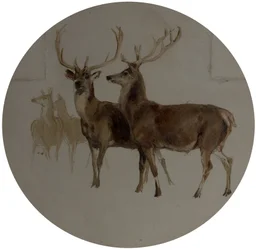 Cerfs dans un paysage (études de cerfs)