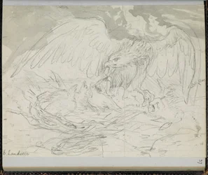 Oiseau de proie nourrissant des poussins, de 