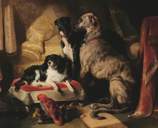Hector, Nero et Dash avec le perroquet Lory