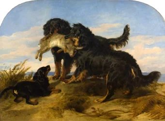 Retrievers avec un lièvre, vers 1870