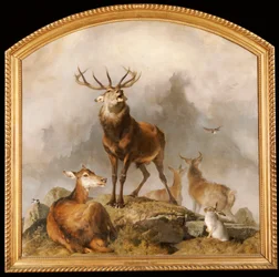 Scène à Braemar - Cerfs des Highlands