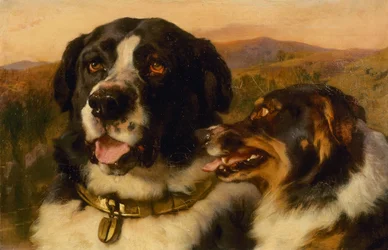 Les deux chiens