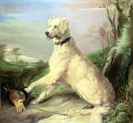 Attendre le maître (huile sur toile)