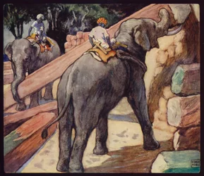 Éléphants empilant du teck