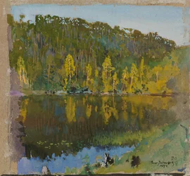 Étang forestier, étude de paysage