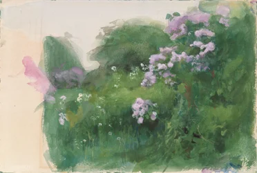 Buisson de lilas