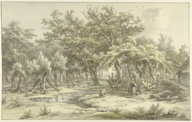 Paysage près d