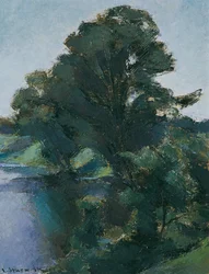 Arbres au bord de l