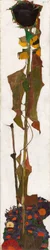 Tournesol, 1909-1910
