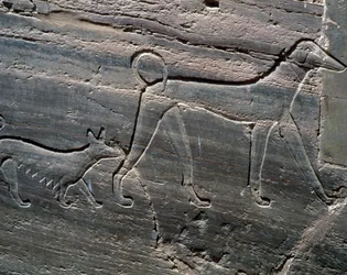 Couple de chiens, relief de l