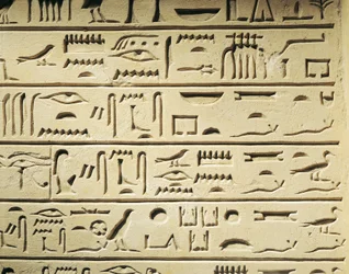 Stèle funéraire du majordome Khentekhtayaun, hiéroglyphes rapportant la liste des parents du défunt
