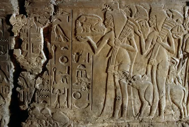 Bas-relief de la tombe de Maïa, nourrice de Toutankhamon, Saqqarah, Égypte, Civilisation égyptienne, Nouvel Empire, XVIIIe dynastie, (détail)