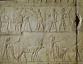 Antiquité égyptienne: scènes de travail dans les champs et offrandes au pharaon. Détail d