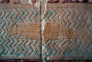Poissons, scènes du royaume de Punt, mur sud de la colonnade centrale, Temple funéraire d