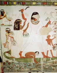 Pêche et chasse aux oiseaux dans les marais, détail de la chapelle funéraire de Menna, Nouvel Empire