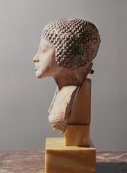 Profil gauche de la tête d