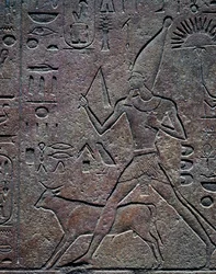 La reine Hatchepsout accompagnée par le taureau Apis lors des activités cérémonielles de la célébration du jubilé, relief, Temple d