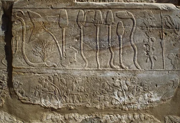 Relief d