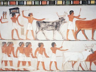 Bergers et bétail, fresque, mur sud, chambre longitudinale, tombe thébaine TT69, Sheikh Abd el-Qurna, Thèbes (Liste du patrimoine mondial de l
