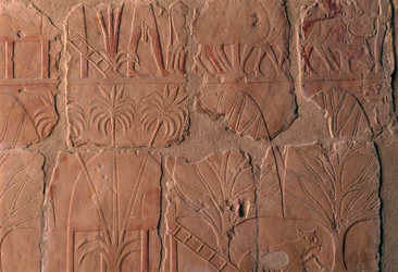 Village avec huttes, scènes du royaume de Punt, mur sud de la colonnade centrale, Temple funéraire d
