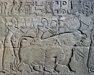 Personnages symbolisant les districts miniers apportant leurs tributs au dieu, relief, Cour de Ramsès II, Temple d